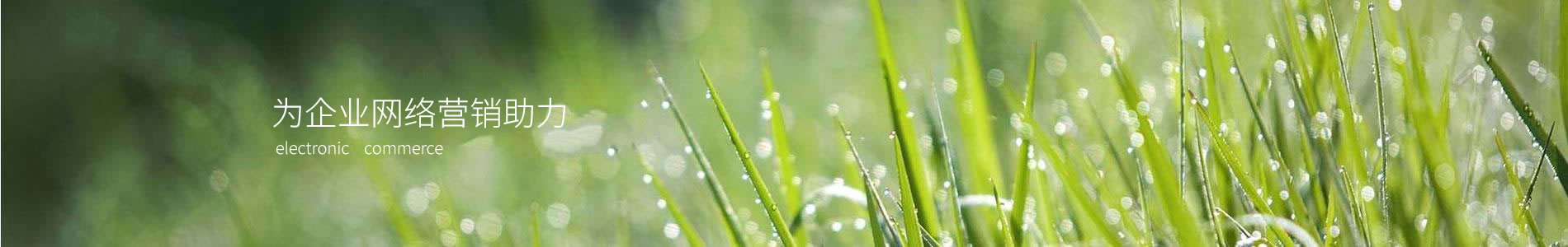 ݰӹܵ޹˾